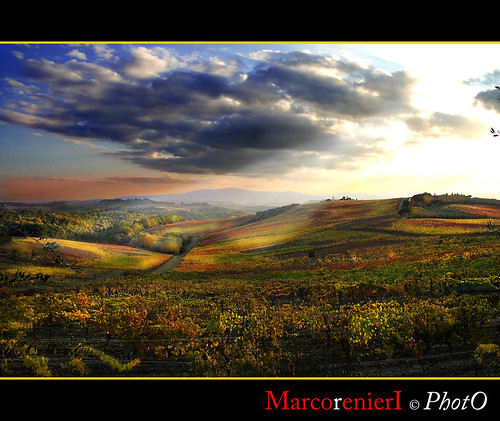 panorama italia tramonto nuvole campagna cielo tuscany chianti siena toscana uva autunno colori viti castellina mygearandme
