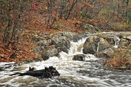 autumn ontario rain landscape waterfall soo chute saultstemarie fallenleaves northernontario runoff rootriver sixthline