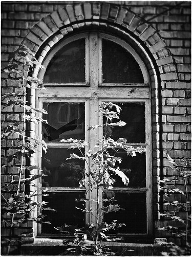 bw white black abandoned window overgrown hospital dark poland polska haunted creepy spooky mysterious forsaken decayed overgrowth okno fogotten rybnik blackwhitephotos