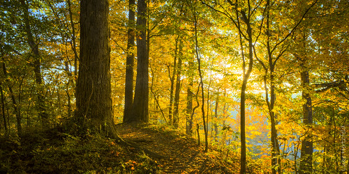 park morning autumn trees sunlight fall nature forest sunrise outdoors dawn trail rays hilltop cuyahogavalleynationalpark discoverohio