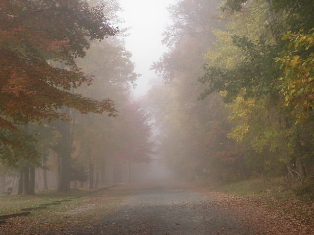 Super scenic foggy road at Leesylvania State Park