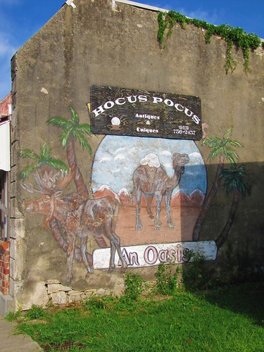 mural moose camel oasis smalltown stucco bluemound homemadesigns