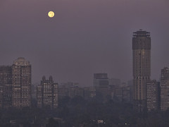 20111111_Egypt_0171 morning moon over Cairo