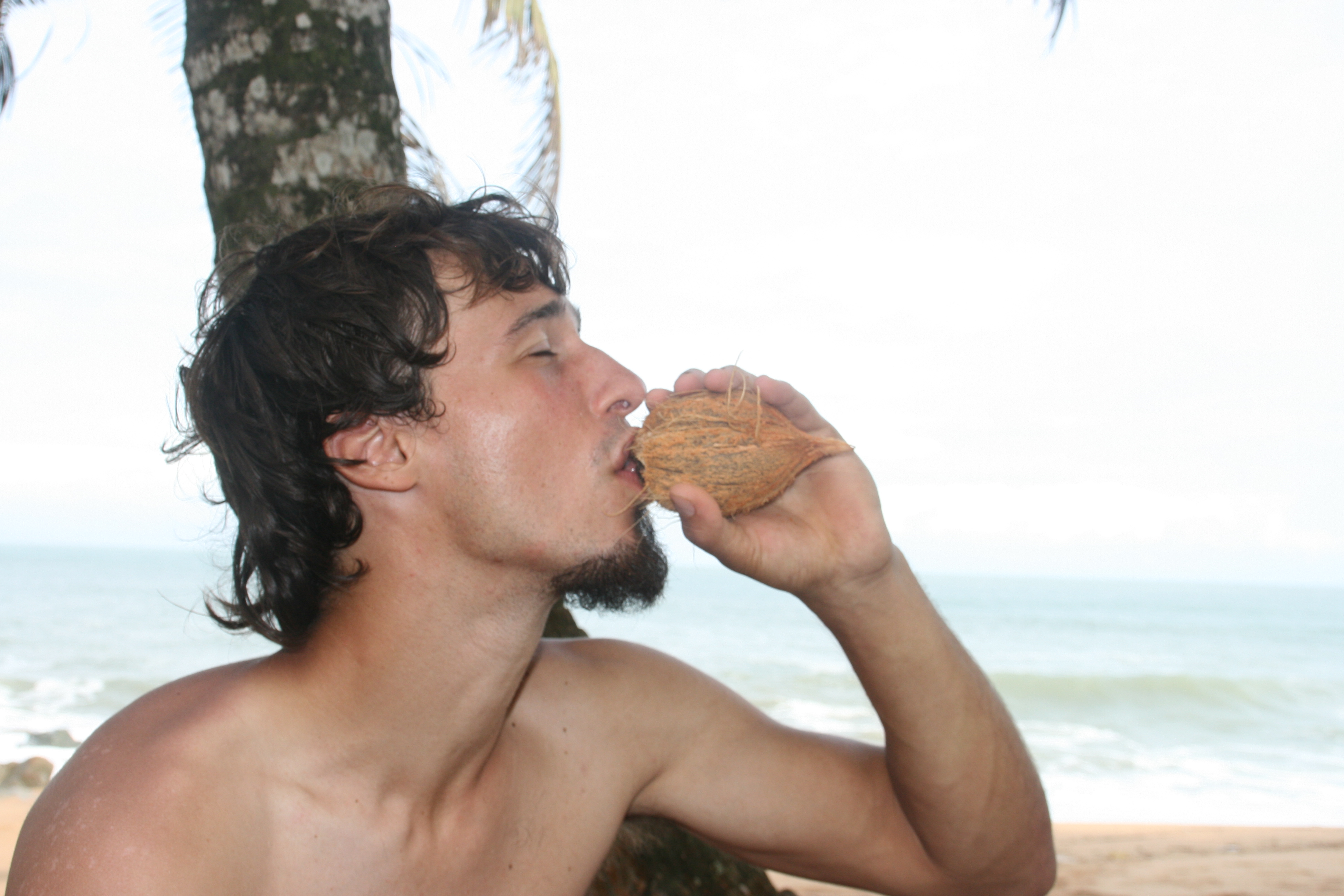 Com obrir i menjar-se un coco 9