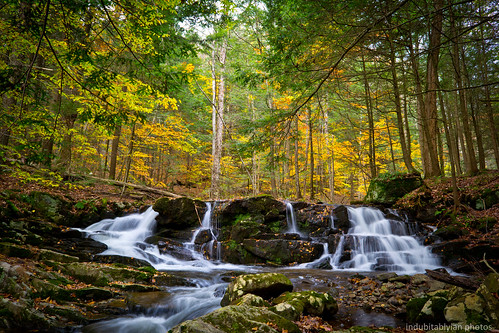 fall nature water creek season outdoors woods stream adirondacks falls brook