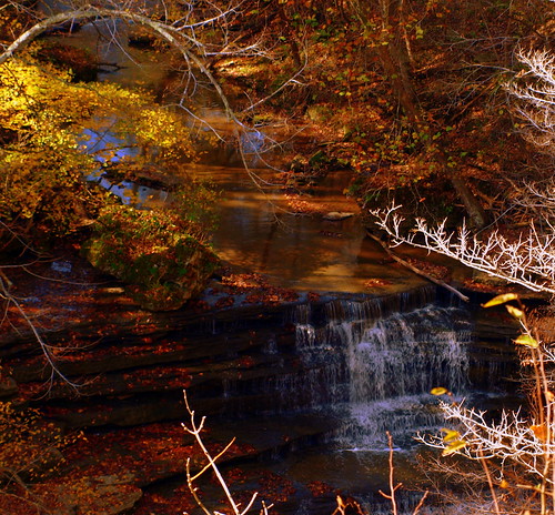 autumn fall nature water waterfall