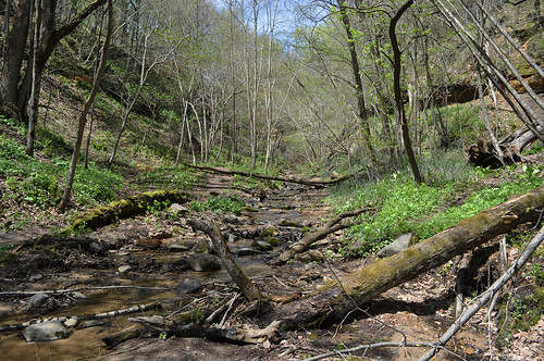 road wisconsin rural creek landscape nikon natural country rustic ravine backroad cascade wi redcedar menomonie rusticroad dunncounty d5000 trippfalls