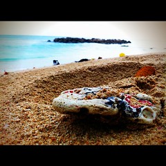 #barbados #beach #nature #iphoneography