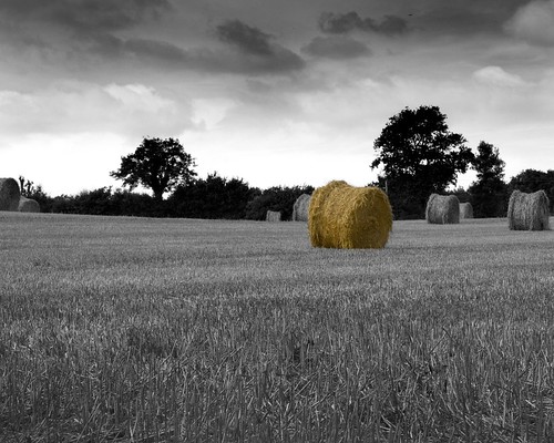 bw france field canon 450d