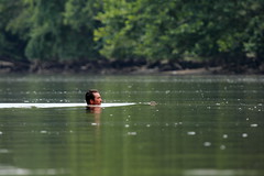 2011年7月9日，一名男子在馬里蘭州 Bladensburg受污染的Anacostia河中游泳。圖片來自：  Mr. T. in DC相本。