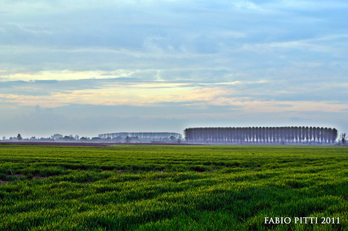 verde green field campagna mantova fields pitti hdr verdi campi 2011 ostiglia