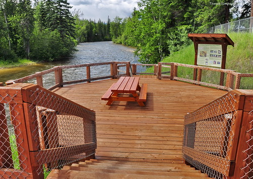 raftriver river water picnicarea picnictable platform viewing viewpoint stopofinterest trees leaves pine birch railing steps wood fish clearwater bc britishcolumbia canada taniasimpson photographer photography photograph photo image copyrightimage nikon nikond90