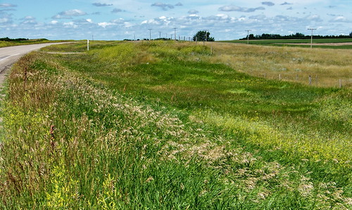 blue canada color colour green highway riverside farm sk prairie saskatchewan agriculture 2011 highway32 canadagood thisdecade