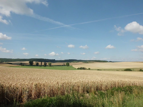 france view wheat fields 2011 vicsurseille