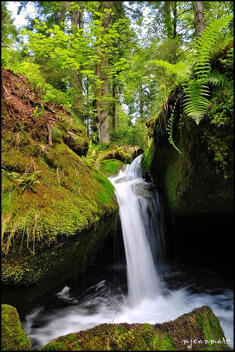 waterfalls vosges water rivière paysage nikon nature landscape foréts forest eaux eauxvives d90 chutesdeaux cascade alsace