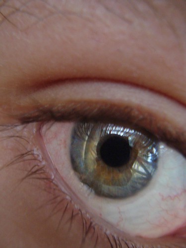 blue verde green eye beautiful azul ojo psmacromacro