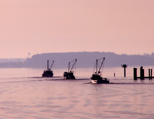 morning colour film 35mm boats dawn fishing pentax kodak maryland oysters chesapeake mesuper patuxentriver gold200 solomonsmaryland takumarf4580205mmzoomlens