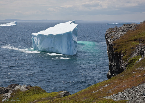 iceberg goosecove greatnorthernpeninsula newfoundlandandlabrador westernnewfoundland petermannglacier