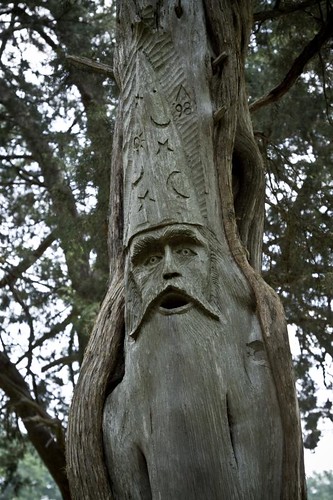 sculpture tree canon se tim al alabama southeast orr tingle 24105 montevallo 2011 50d canonef24105mmf4lisusm hueyatl