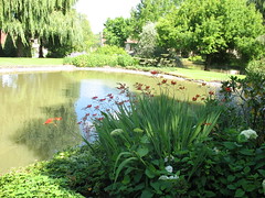 Parc Floral d-Apremont - Apremont-sur-Allier - Photo of Germigny-l'Exempt