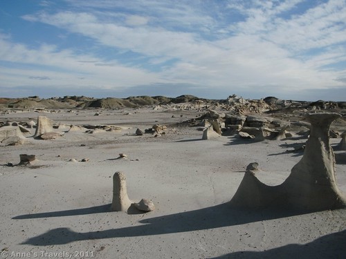 Hoodoos and long shadows in the Bisti Wilderness, New Mexico