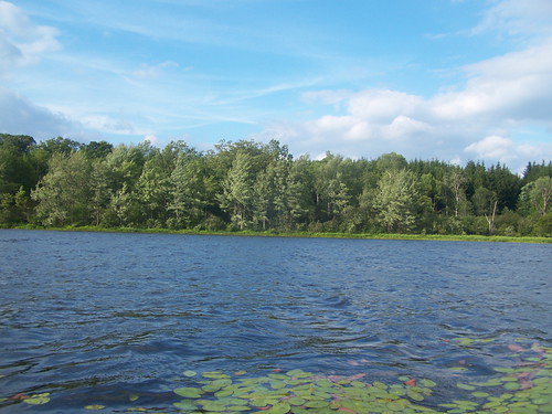 blue forest pond long skies state longpond andyarthur