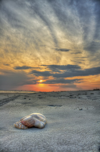 ocean pink blue sunset sun beach clouds sand jellyfish purple southcarolina sullivansisland