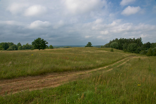 summer nature sony lithuania vasara lietuva gamta aukštaitija sal16105 vietovės kamastosžiedas kamastaring