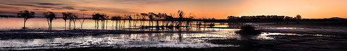winter sunset lake reflection water canon landscape flood sale pano victoria highiso gippsland 24105mm 5dmkii