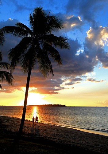 sunset sun tree fiji paradise palm nadi greatphotographers denerau