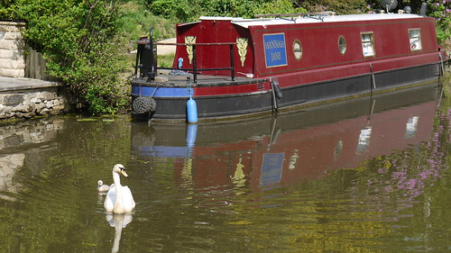 2010-06-03 040 Leeds-Liverpool Canal, Keighley