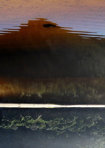 sky reflection landscape lagoon slice rippled reflexions saltriver contrejour earthtones waterscape naturesvalley abstractlandscape shadowscape verticalslice onewordone