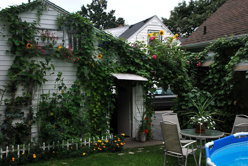 flowers summer plants home vegetables rose yard landscape flora backyard arch garage garedn topshots colorphotoaward theoriginalgoldseal