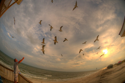 sunset sky seagulls house beach clouds nikon air alabama fisheye feed 105 hdr dauphinisland d300