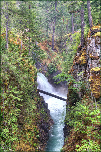 nature landscape waterfall falls legacy qualicumfalls littlequalicumriver qualicumfallsprovincialpark