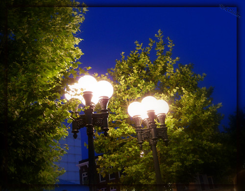 blue light tree green night lights streetlamp pullmansquare huntingtonwv rcvernors rickchilders summernightonthesquare