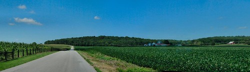 road sky panorama clouds fence corn indiana soybeans washingtoncounty dschx1 hardinsburglivoniaroad