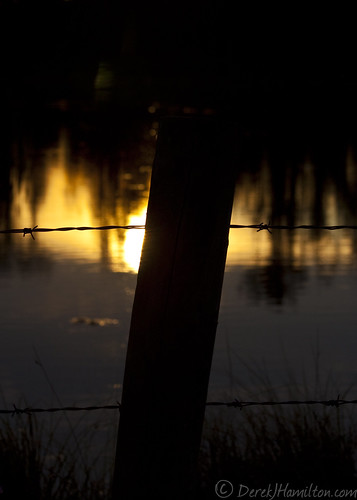 sunset water fence pond wire post barbedwire barb barbed fencepost blackfalds derekjhamilton derekjhamiltoncom