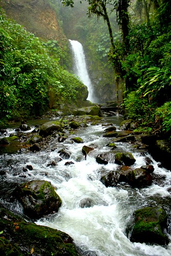 costarica alajuela studyabroad lapaz trees canonefs1855mmf3556is waterfall canoneosrebelxs
