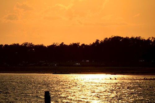 sunset orange seagulls beach water mississippi biloxi