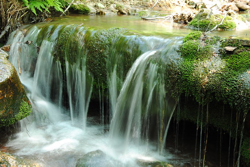 las water forest river waterfall stream woda mech potok wodospad strumień