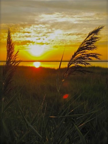 sunset sea summer vacation virginia easternshore oats chincoteague