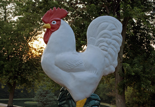 sunset chicken statue