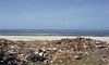 Comoros: beach rubbish