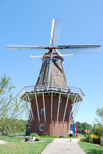windmillislandgarden elementsorganizer