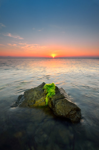 sea seascape verde green nature sunrise atardecer mar nikon rocks paisaje amanecer lopez javier rocas elche tabarca d7000 javierlópez mursgo