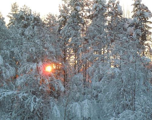 winter sunset vinter sweden lappland lapland solnedgång lycksele