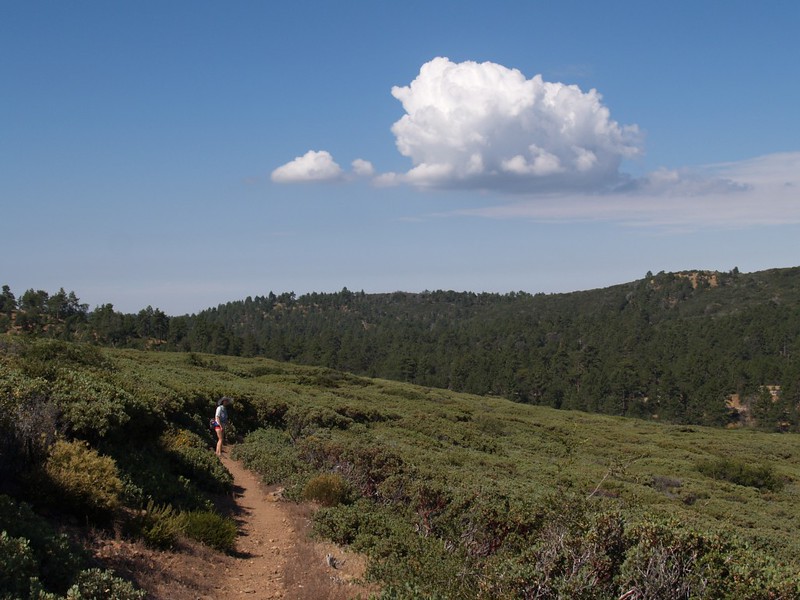 Hiking the Pacific Crest Trail in the Laguna Mountains
