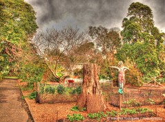 HDR Botanical Gardens