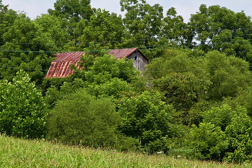 barns july oldbarns westvirginia weatheredwood tinroof rustyandcrusty 2011 canon24105l ritchiecounty july2011 westvirginiabarns
